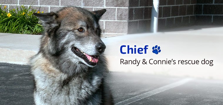 Bloch-ContactUs-Chief Chief - Randy & Connie's rescue dog